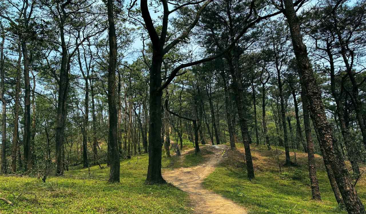 Today cho thuê xe du lịch đi Núi Hàm Lợn trọn gói giá rẻ
